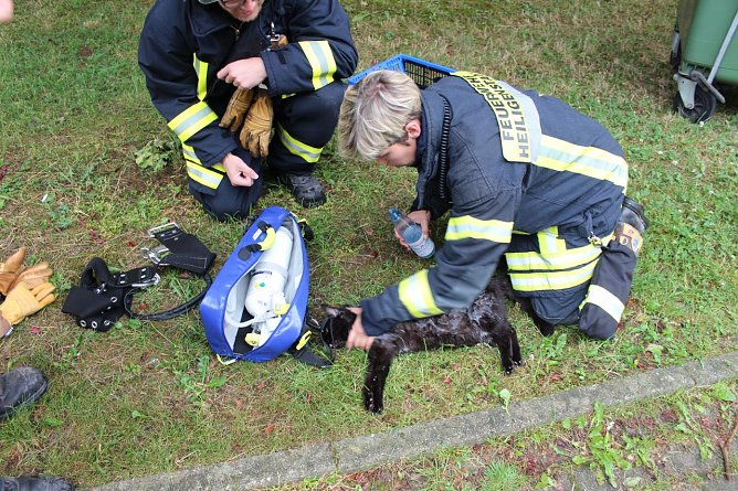 Bewusstlose Katze gerettet (Foto: Feuwerwehr Heilibad Heiligenstadt) Bewusstlose Katze gerettet (Foto: Feuwerwehr Heilibad Heiligenstadt)