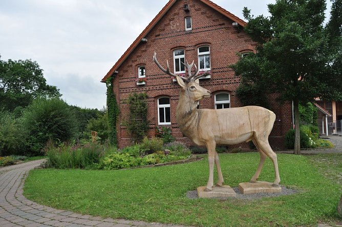Platzhirsch (Foto: Gut Herbigshagen)