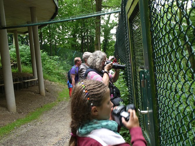 B&auml;ren sind beliebte Fotomotive (Foto: Lilith Reinhold)