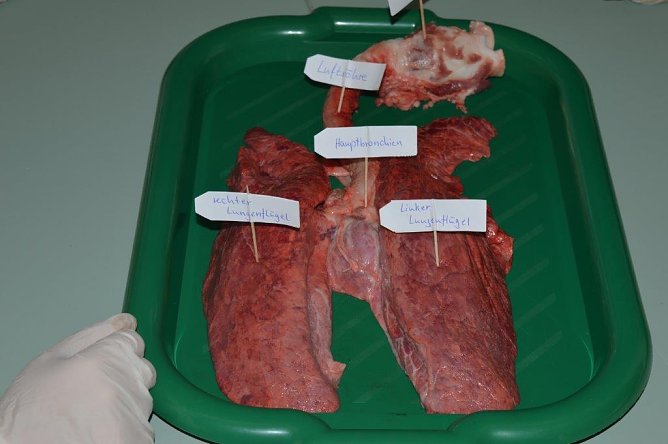 Projektstart (Foto: Landkreis)