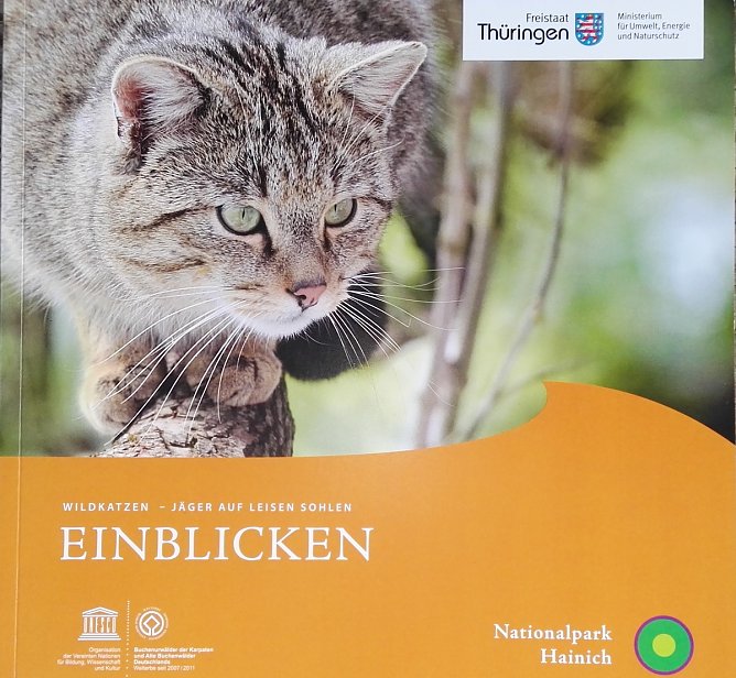 Wildkatzenbrosch&uuml;re (Foto: Marianne Fritsch)