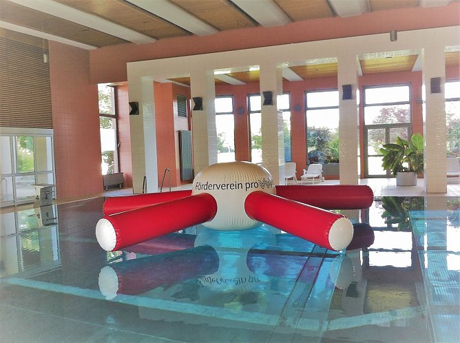 Seestern in der Wipperwelle (Foto: Dr. Dorst)