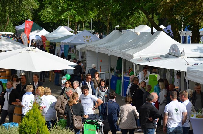 Gesundheitsmeile (Foto: Merten/St. Martini) Gesundheitsmeile (Foto: Merten/St. Martini)