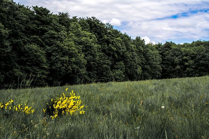 Wetterbild (Foto: Gernot Thelemann)