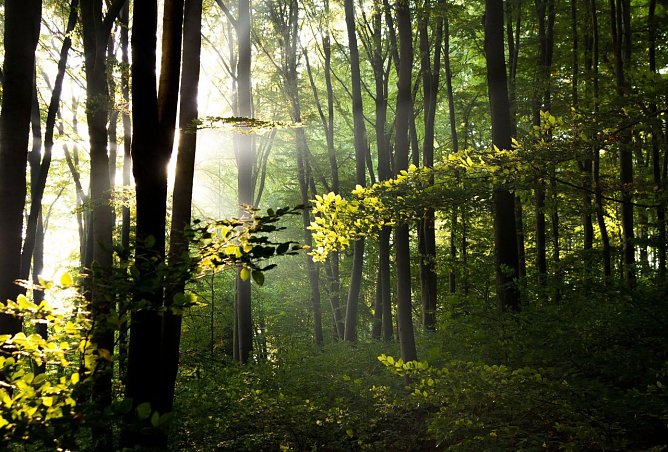 Sch&ouml;ne Aussichten (Foto: Gernot Thelemann)