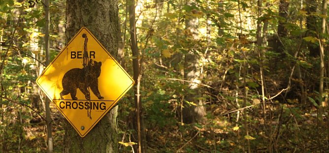 Goldener Herbst im Bärenpark Worbis (Foto: Angelo Glashagel) Goldener Herbst im Bärenpark Worbis (Foto: Angelo Glashagel)