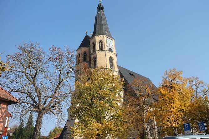 Wetterbild (Foto: Lea-Marie Vins ) Wetterbild (Foto: Lea-Marie Vins )