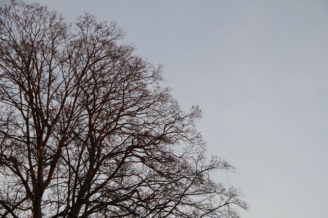 Wetterbild (Foto: Angelo Glashagel) Wetterbild (Foto: Angelo Glashagel)