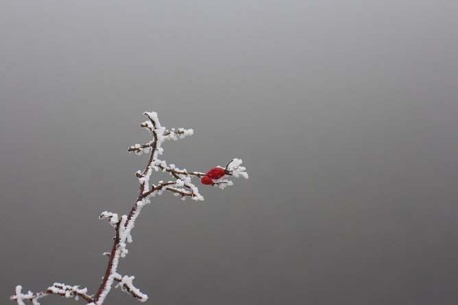 Wetterbild (Foto: Angelo Glashagel) Wetterbild (Foto: Angelo Glashagel)