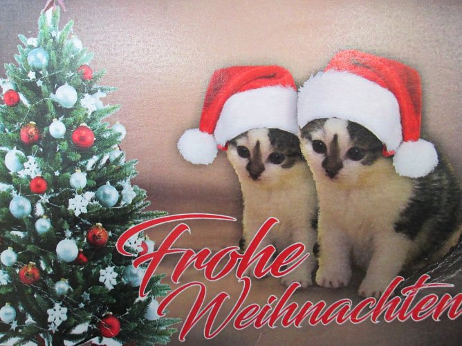 Frohe Weihnachten (Foto: Karin Ziegler)