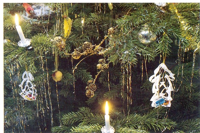 Storms Weihnachten (Foto: Dr. Regina Fasold) Storms Weihnachten (Foto: Dr. Regina Fasold)