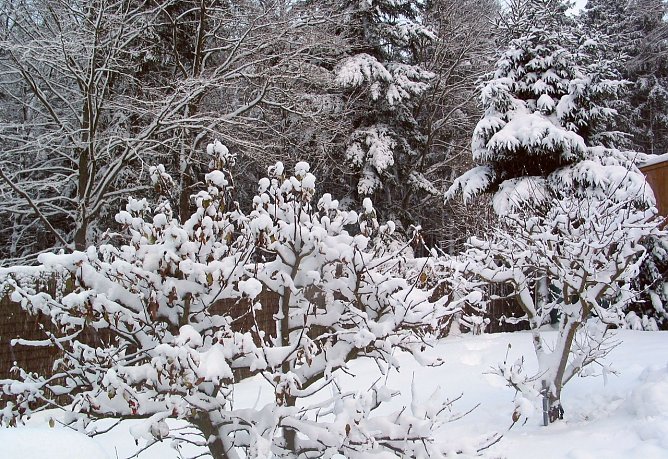 Heute Morgen in Sophienhof im S&uuml;dharz (Foto: W. J&ouml;rgens)
