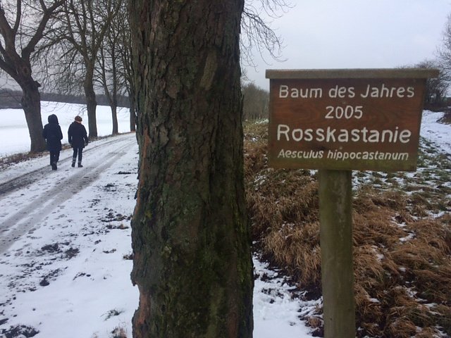 Neujahrswanderung (Foto: Norbert Sondermann)
