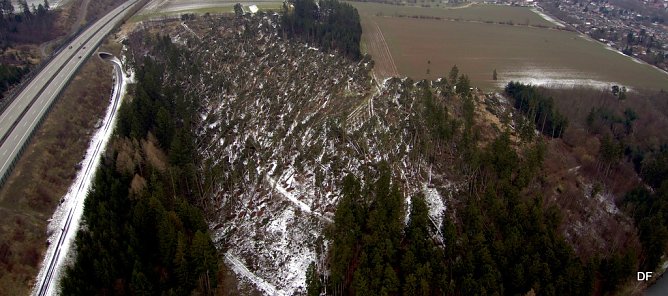 Sturmsch&auml;den im K&ouml;hlersgrund (Foto: Dirk F&uuml;rstenberg)