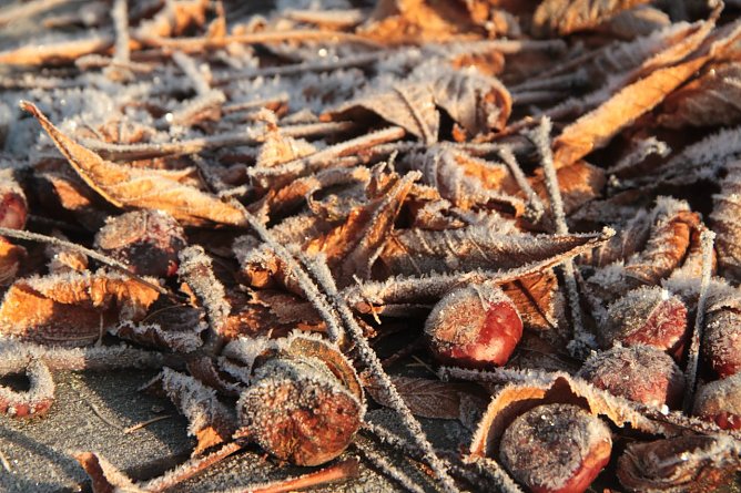 Wetterbild (Foto: Angelo Glashagel) Wetterbild (Foto: Angelo Glashagel)