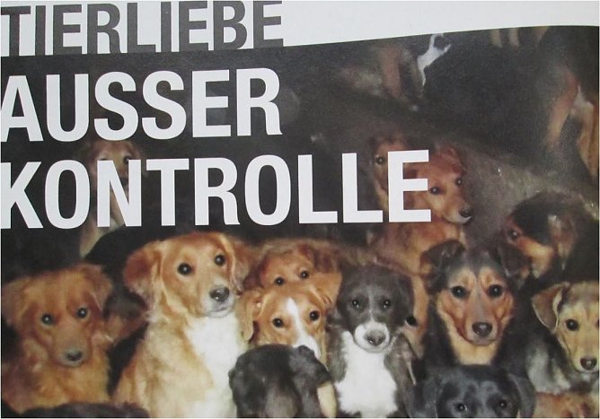 Falsch verstandene Tierliebe (Foto: Tierheim)