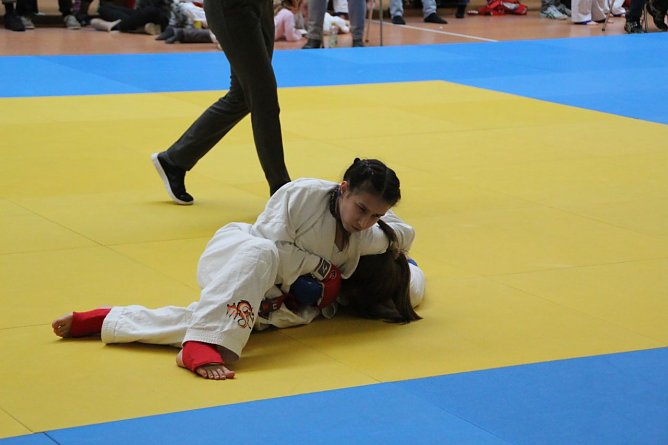 Gegnerin im Griff (Foto: Ju-Jutsu Verein) Gegnerin im Griff (Foto: Ju-Jutsu Verein)