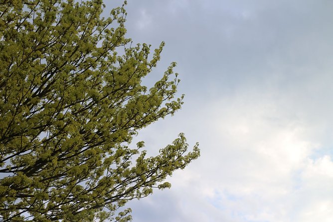 Wetterbild (Foto: Angelo Glashagel) Wetterbild (Foto: Angelo Glashagel)