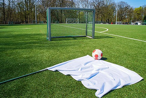 Zecken-Check auf Deutschlands Fußballplätzen (Foto: Pfizer/zecken.de) Zecken-Check auf Deutschlands Fußballplätzen (Foto: Pfizer/zecken.de)