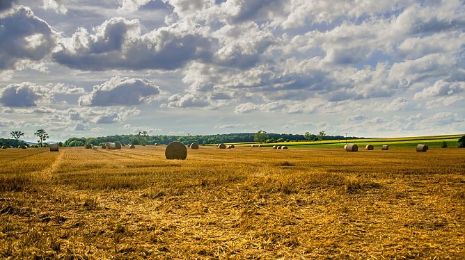 Wetterbild (Foto: Gernot Thelemann)