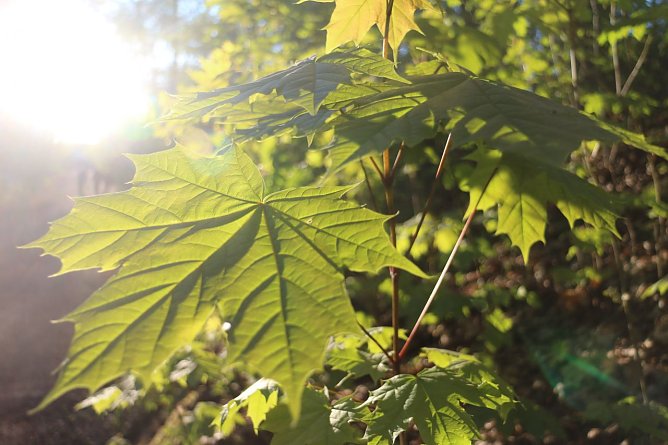 Wetterbild (Foto: Angelo Glashagel) Wetterbild (Foto: Angelo Glashagel)
