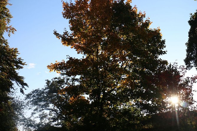 Wetterbild (Foto: Angelo Glashagel) Wetterbild (Foto: Angelo Glashagel)