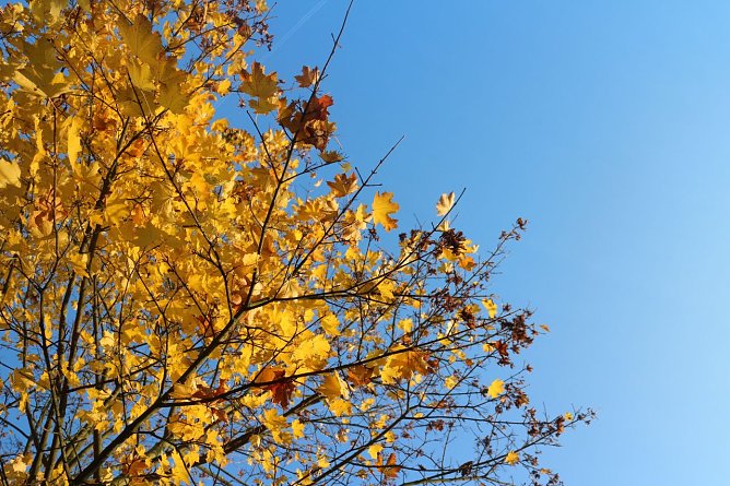 Wetterbild (Foto: Angelo Glashagel)