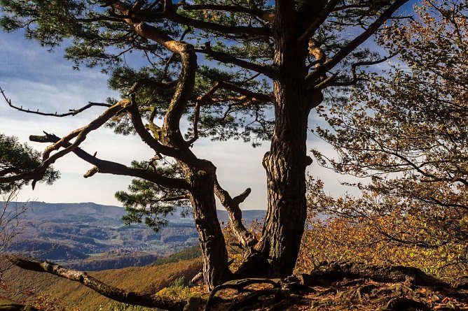 Wetterbild (Foto: Gernot Thelemann)