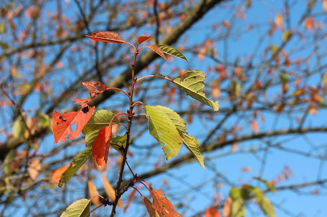 Wetterbild (Foto: Angelo Glashagel) Wetterbild (Foto: Angelo Glashagel)