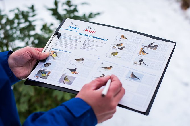 Flei&szlig;ig z&auml;hlen (Foto: Sebastian Hennings)