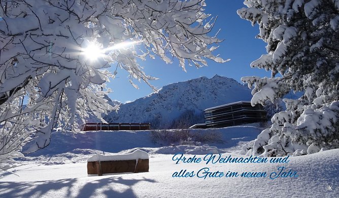 Weihnachtsbild (Foto: Ilka K&uuml;hn)