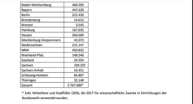 &Uuml;berblick (Foto: Tierschutzbund)