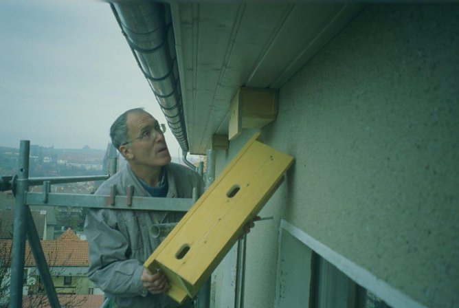 Der Autor beim Anbringen einer Bruthilfe f&uuml;r Mauersegler. (Foto: privat)
