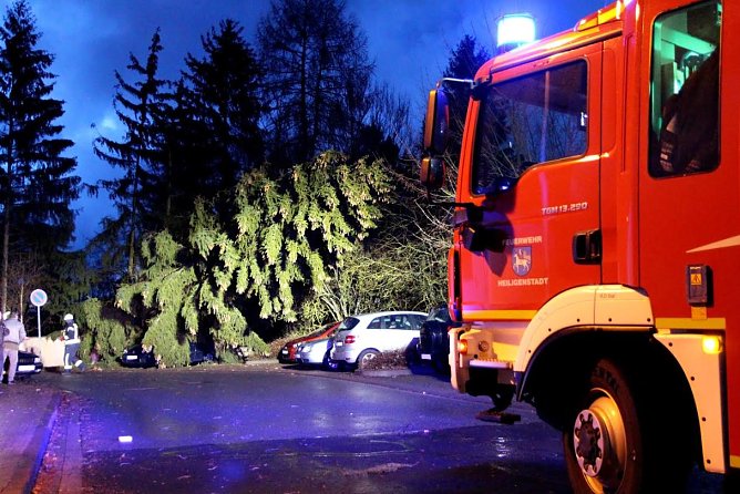 Tanne (Foto: Feuerwehr Heiligenstadt)