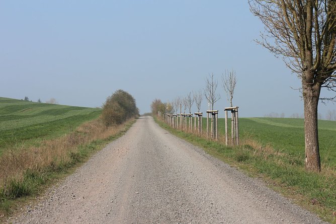 Wetterbild (Foto: Angelo Glashagel)