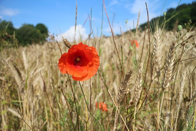 Wetterbild (Foto: Angelo Glashagel)