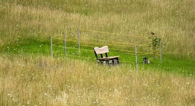 Wetterbild (Foto: Gernot Thelemann)