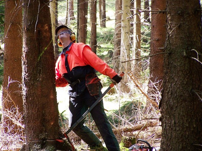 Forstarbeiter (Foto: Dr. Horst Spro&szlig;mann)