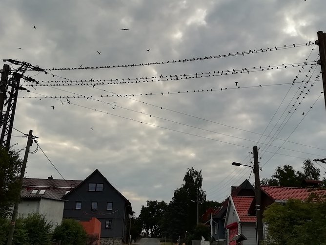 wetter (Foto: Wolfgang J&ouml;rgens )