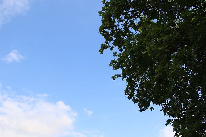 Wetterbild (Foto: Angelo Glashagel) Wetterbild (Foto: Angelo Glashagel)