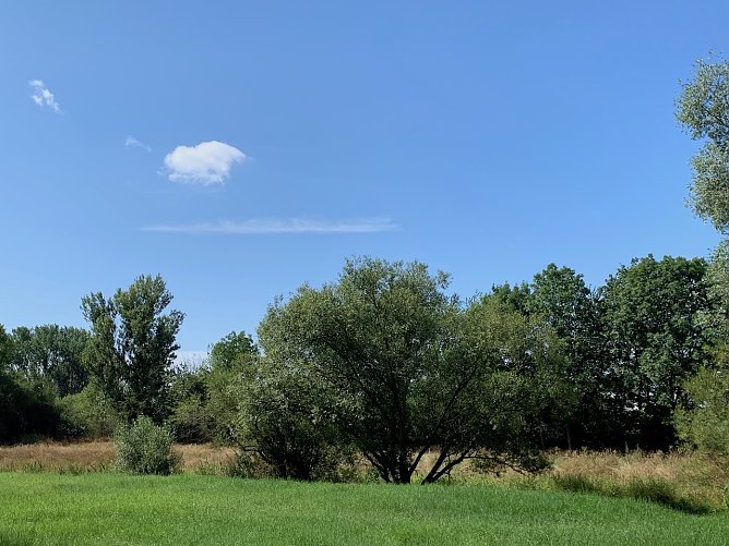 wetter (Foto: oas) wetter (Foto: oas)