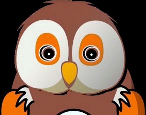 Leseeulen (Foto: Ren&eacute; Wei&szlig;bach)