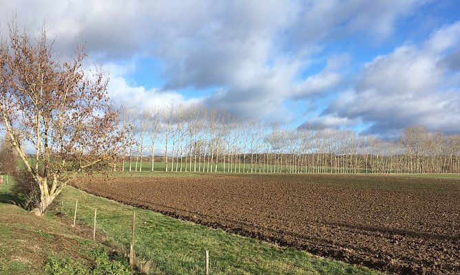 wetter (Foto: oas) wetter (Foto: oas)