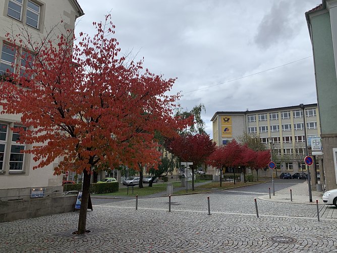 wetter (Foto: oas) wetter (Foto: oas)