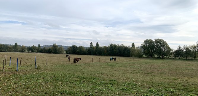 wetter (Foto: oas) wetter (Foto: oas)