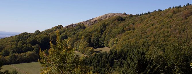 Wald (Foto: oas) Wald (Foto: oas)