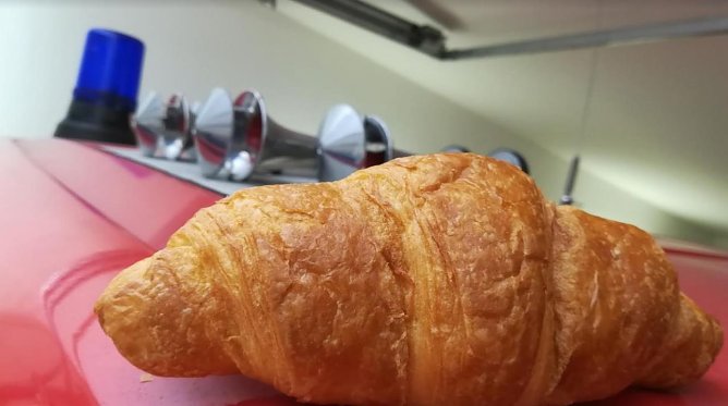 Martinsh&ouml;rner (Foto: Franz Bierschenk)