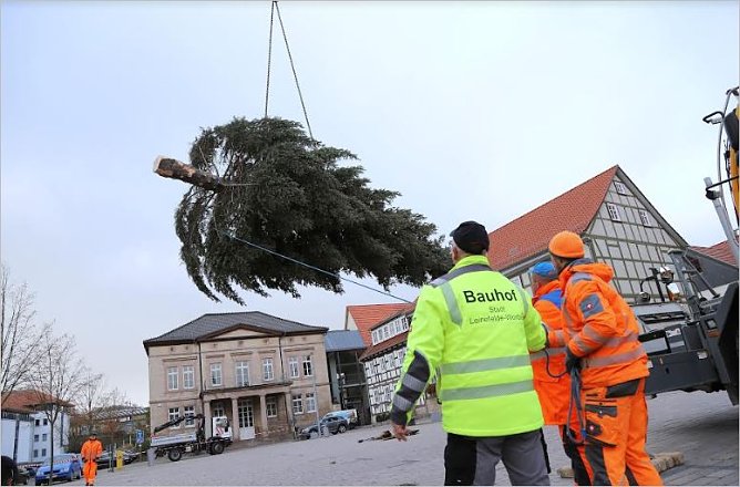 Weihnachtsbaum (Foto: René Weißbach) Weihnachtsbaum (Foto: René Weißbach)