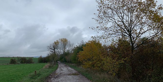 wetter (Foto: oas) wetter (Foto: oas)