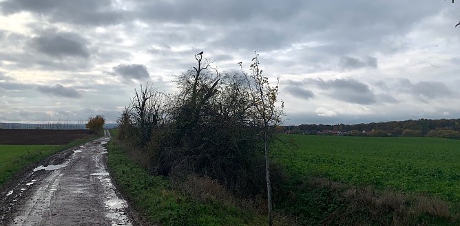 wetter (Foto: oas) wetter (Foto: oas)